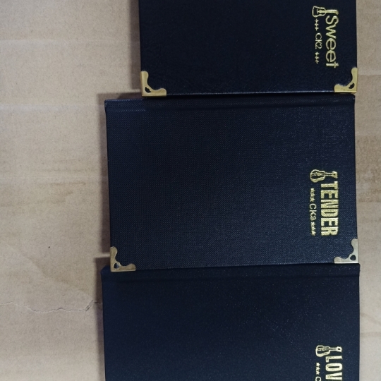 CK2 thick leather notebook (8x13 cm)
